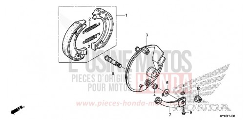 FRONT BRAKE PANEL CRF110FD de 2013